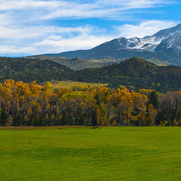 Best Dental Clinics in Carbondale, Colorado